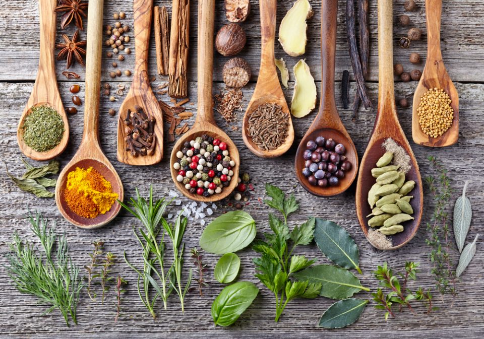 Introduction to Herbal Medicine @ Oconee History Museum