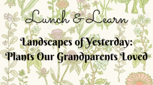 Lunch & Learn: Landscapes of Yesterday--Plants Our Grandparents Loved @ Oconee History Museum