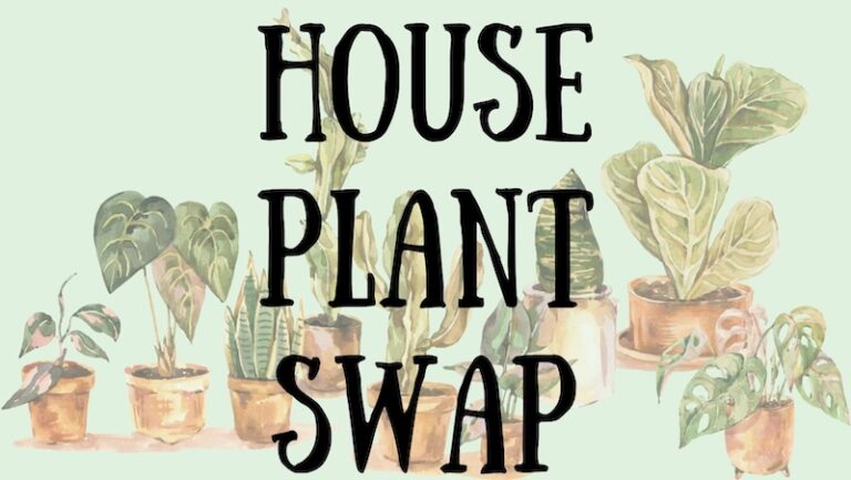 image for house plant swap